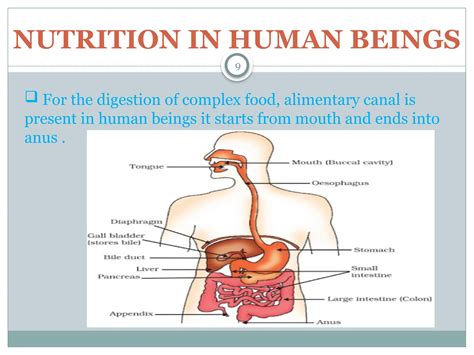 Image result for Life Process Biology