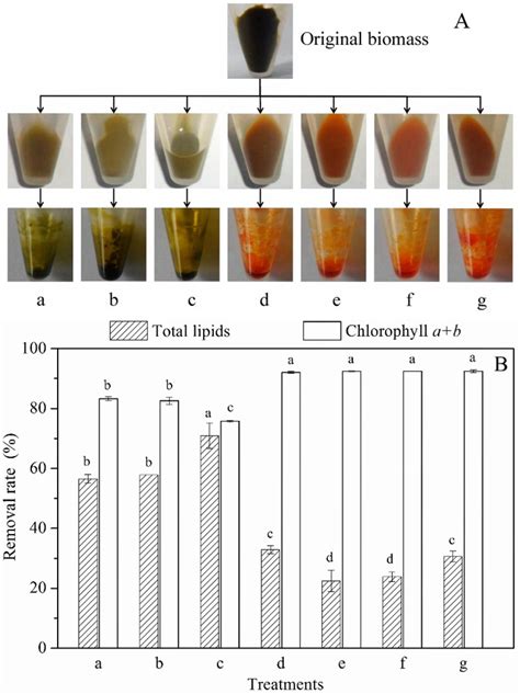 A Saponification Method for Chlorophyll Removal from Microalgae Biomass ...