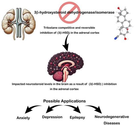Trilostane: Beyond the Cushing’s Syndrome[v1] | Preprints.org