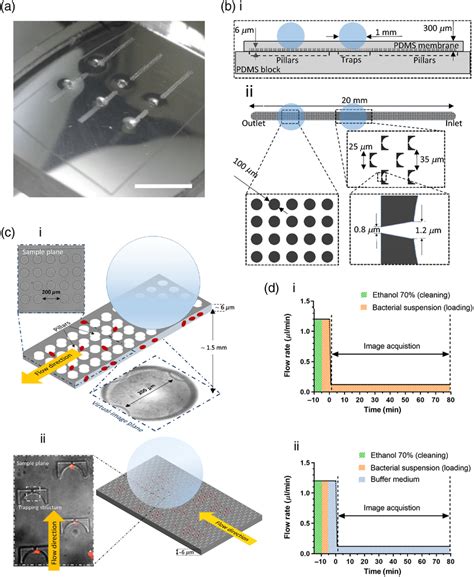 Microfluidic Chip 的图像结果