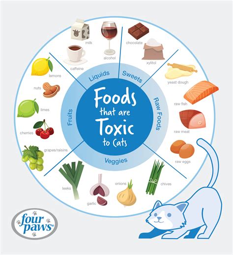 Foods bad for cats online