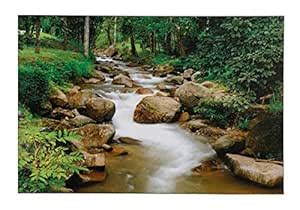 Buy BM TRADERS Forest River UNFRAMED Wall Sticker Poster Big (Vinyl 24 ...