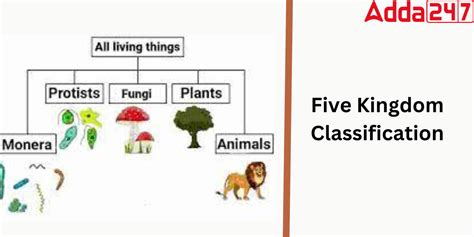 Image result for Five Kingdoms of Life Examples