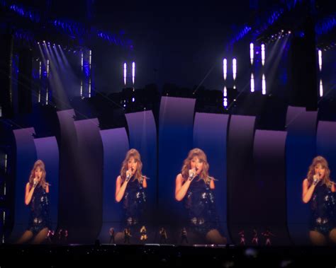 Image result for Taylor Swift Reputation Tour Shadow