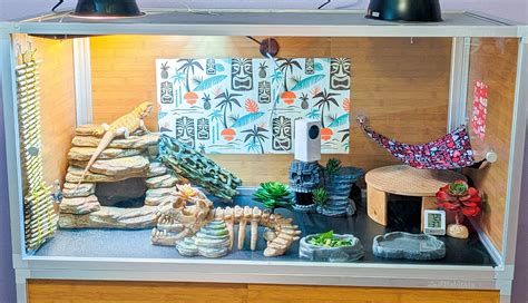 Bearded Dragon Cages