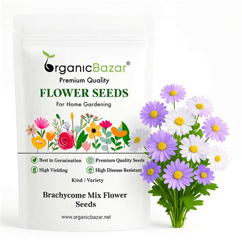 Buy Best Quality Brachycome Mix Color Flower seeds Online - Organicbazar