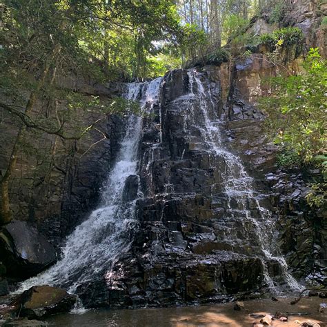 HOGSBACK ARBORETUM (2026) All You Need to Know BEFORE You Go (with ...