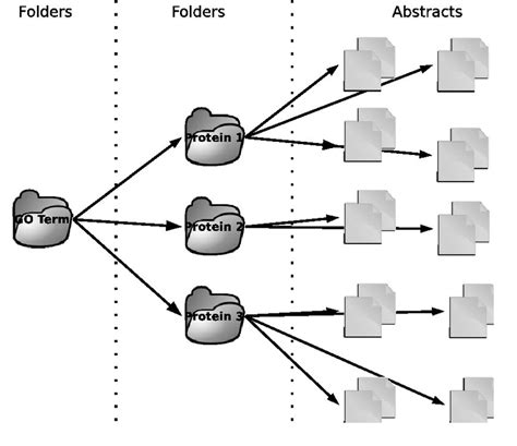 Dataset Example 的图像结果