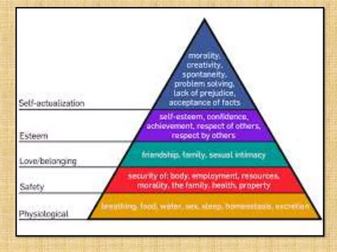 Image result for Humanistic Example