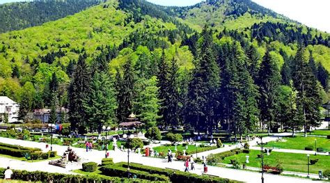 HOTEL DOBRU (Slanic Moldova) - Hotel Reviews & Photos - Tripadvisor