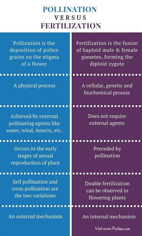 How is pollination different from fertilization in tabular form ...