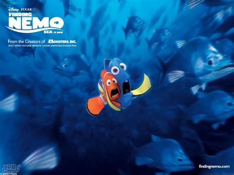 2003年电影《海底总动员》高清完整版在线观看_影视分享