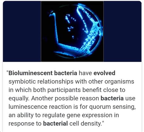 Evolution of bioluminiscence in bacteria - Brainly.in