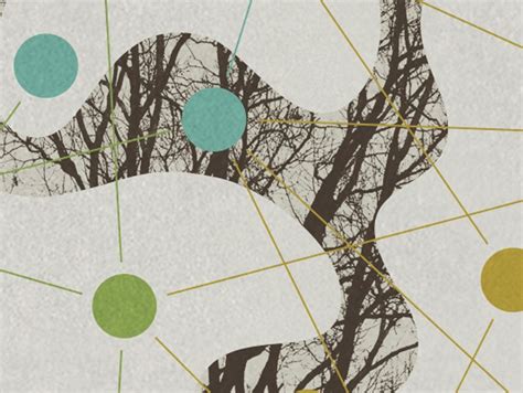 Image result for Process tracing Steps