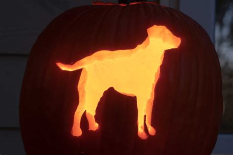 Golden Retriever Pumpkin Carving Patterns