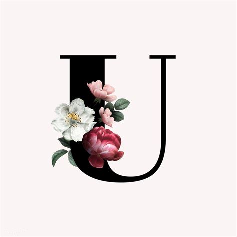 Letter U Font Design