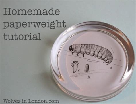 Image result for How to Clean Paperweights