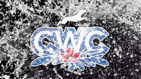 Image result for CWC Youtube.com