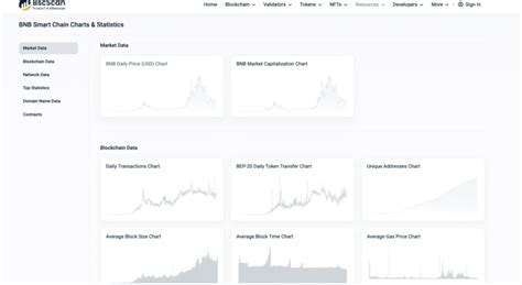 What Is BscScan? A Guide to Using The Blockchain Explorer