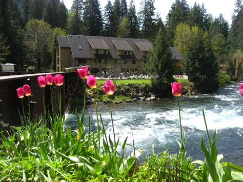 Belknap Hot Springs Resort is a beautiful 60 mile drive from Eugene ...