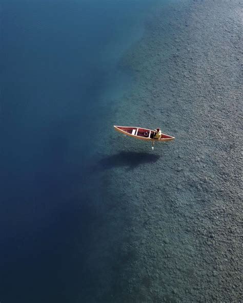 Surfer hit by 'big' creature after paddling out at closed beach: 'Unknown species'