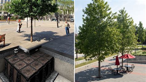Comparing Tree Planting Media: A Comprehensive Overview - GreenBlue Urban