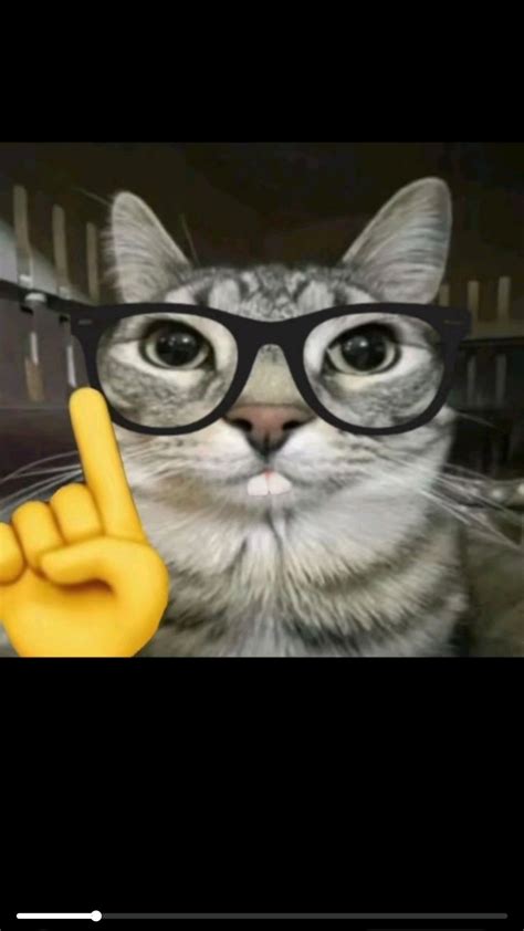 Nerd Cat