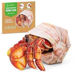 Buy Early Learning Science Kits Ideal STEM Toy for Teens, Boys, and ...