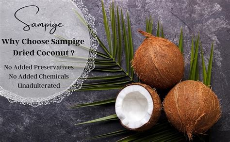 Sampige Natural Dry Coconut|Treasure for Health and Flavor|Copra|Sukha ...