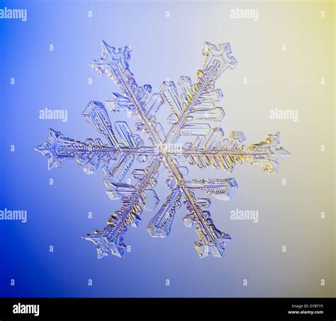 Snowflake microscope hi-res stock photography and images - Alamy