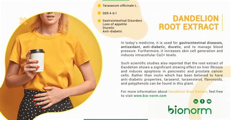 Bionorm - Dandelion Root Extract (Taraxacum root extract)