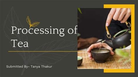 Image result for Tea Processing Steps