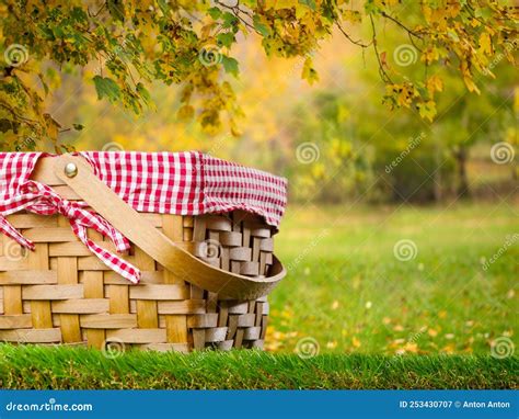 A Cozy Straw Picnic Basket on a Green Lawn Against the Backdrop of a ...
