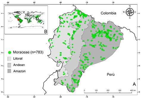 Floristic Composition, Structure, and Aboveground Biomass of the ...