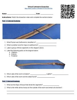 Image result for Free Virtual Earthworm Dissection Lab