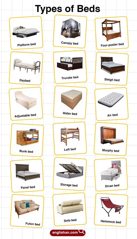 Names of Different Types of Beds | Types of beds, Learn english, Basic ...