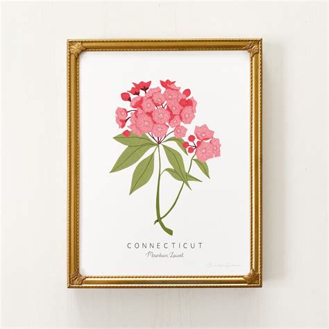 Connecticut State Flower Print | CUSTOMIZABLE | Laurel Print ...