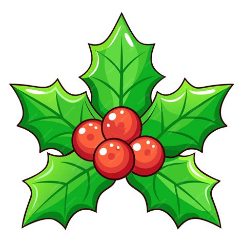 Cartoon Holly Leaves and Berries Illustration Cute and Festive ...