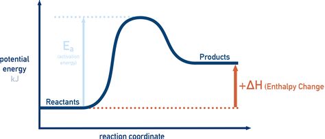 https://www.chemistrystudent.com/ib-dp/r1.1-measuring-enthalpy-changes/images/endothermicprofile.png