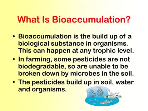 PPT - BIOACCUMULATION PowerPoint Presentation, free download - ID:181796