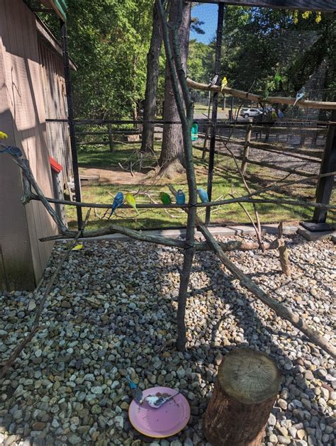 Bergen County Zoo, Paramus, NJ: Information, Tickets and Reviews