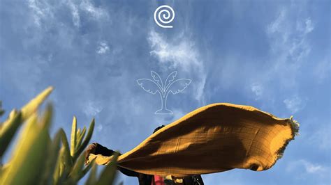 Best-seller Spotlight - Musa Double cloth (banana) towel – Doctor Towels