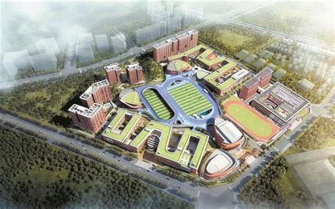 深圳8区已公布2021年学位申请审核结果 还剩罗湖龙华- 深圳本地宝