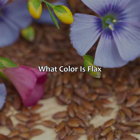 What Is Color Flax at Robert Lindsay blog