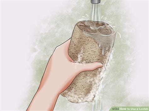 Image result for Loofah Tutorial