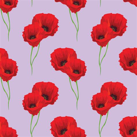 poppy flower drawing seamless pattern 5854497 Vector Art at Vecteezy