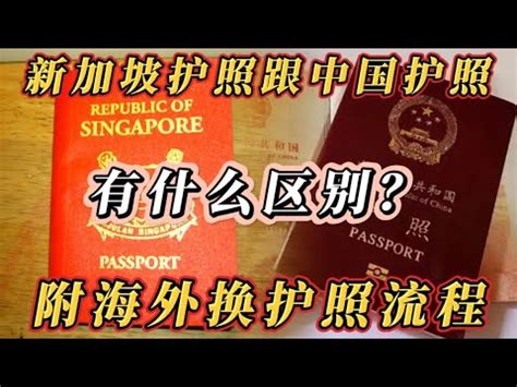 干货！在新加坡更换中国护照最详细攻略！ - 热点新加坡