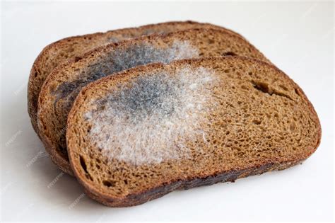 Bread Mold