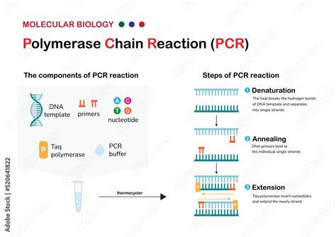 Image result for PCR Machine Tutorial