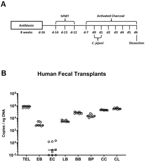 Biomolecules | Special Issue : The Value of Natural Compounds as ...